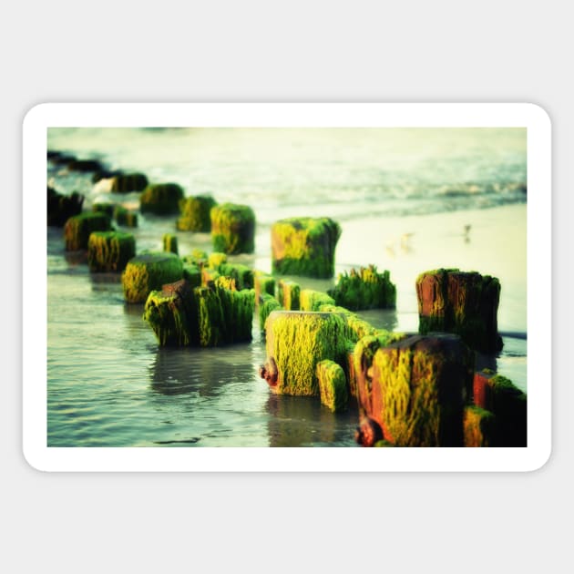 Ocean Ruins Sticker by JimDeFazioPhotography